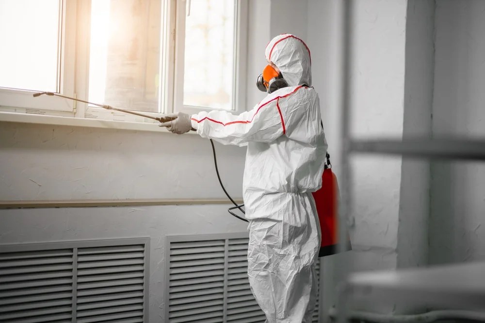 Professional mold remediation services in Apex, NC